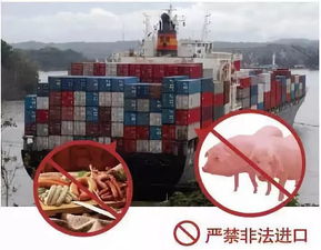 非洲豬瘟來襲，陸川豬肉還能安全食用嗎？科學(xué)解析與醫(yī)學(xué)研究進(jìn)展