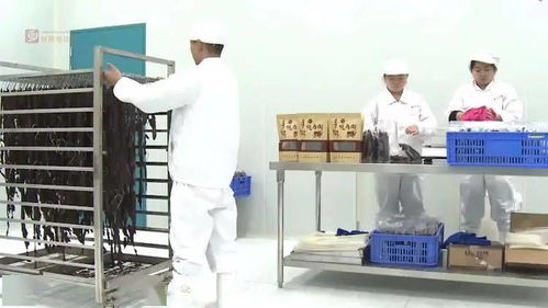 推動綠色生產 引領綠色消費——甘孜州綠色食品飲料產業的高質量發展之路